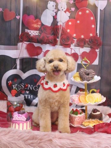 20250228めるちゃん